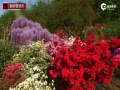 ʵձ144ٻ ׳ɫٲ