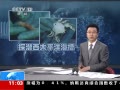 ֱ䡷 ѧ̴Ѵλ
