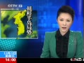 ֱ䡷 뺫ЭԳչ
