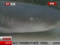 ߷塷 ɱһˮοˮϷ