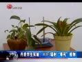  WIFI䵽ж