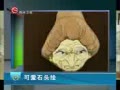  ɰʯͷ