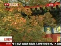 硷 ˪ 