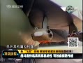 ֱ䡷 սըи߻ ɶͻս