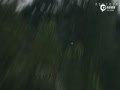 Ƶ-ͶӢ ־ʽ