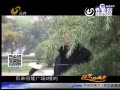 ˿ͳԻԳֻ 곤Ƽض