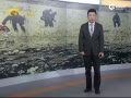 飺MH17 ɽë鷵Ƭ