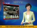 㶫糿 700굽800