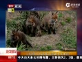 硷 С껧׷ѧ汾