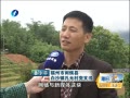 簲 ΢Ѷṩ֯