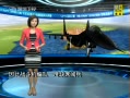 ֱ䡷 Ͼ  ʿվѵ