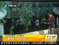 簲  첻Զ