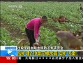 ֱ䡷 ϳ ǣ鱨ȡѪרʽ