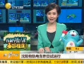 ӵһʱ 20130803 й糵