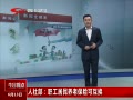 ӵ㡷 粿ְϱտɻ