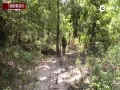 й侯Բѵ αװЧ