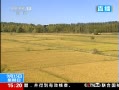 ֱ䡷  