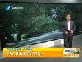 簲 ȵ