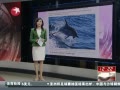 š ڿཫ˹