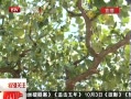 رע ԰İ