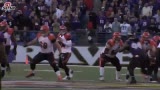 Ƶ-NFL105𺳻 51