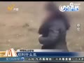 Э顰Ů ò ڴֱ