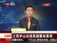 硷 ®ɽڡ