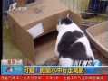7š ɰ èˮ߼