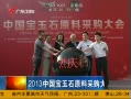 㶫糿 2013йʯԭϲɹῪĻ