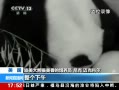 ֱ䡷 èε