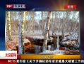 硷 ֳѩ