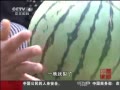 йš ŵ飺Ǽ