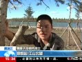 ֱ䡷 ر飺 ʲôһ 