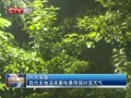 CQTVš 賿жӭ׵籩ǿ