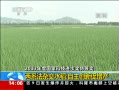 ֱ䡷 ϵӽˮ´