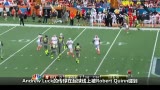 Ƶ-NFLȫְҵ  ˹ʤɣ˹