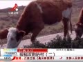 ӽ硷 Ž̽˫̥壨
