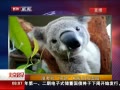 硷 Ŀ