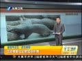 簲 Ұ