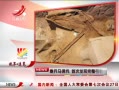 ӽ硷 رٸ ״η