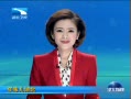 š ζ