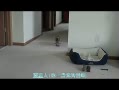 ϴ쭣棩
