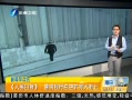 簲 ձվڿտĴ