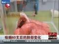 š 60֧ķβ仯