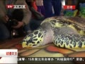 رע  ͯ黭溣