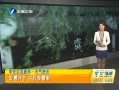 簲 ʱ