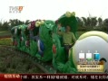 š ԰ ߲ʻֻ