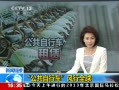 ֱ䡷  гȫ