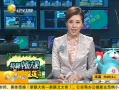 һʱ 20130817 4Gڷ