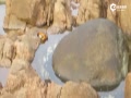 ʵİˮз